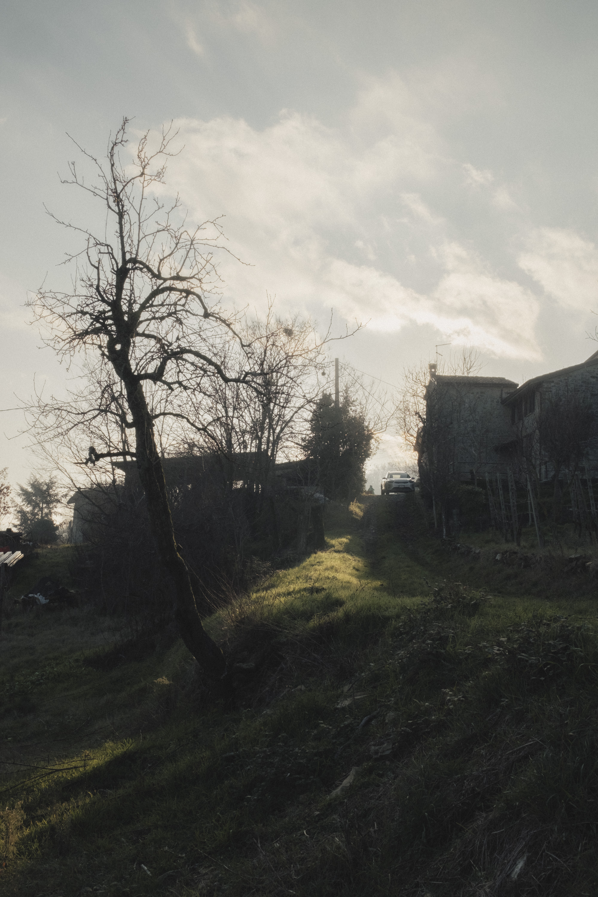 Vino del Poggio — foto 5